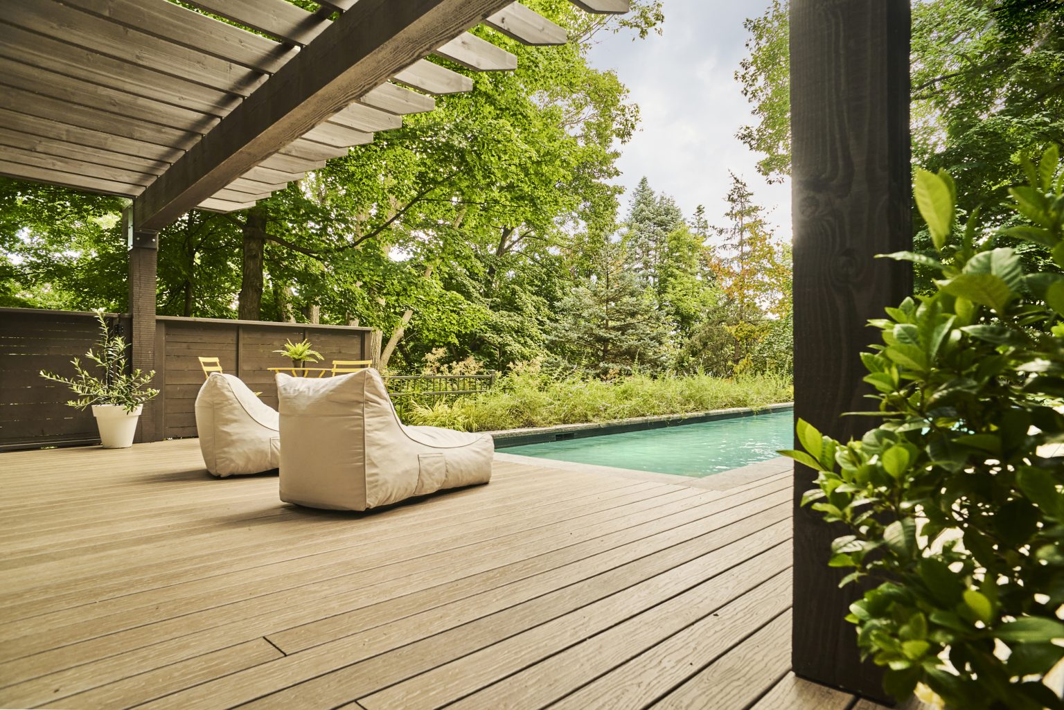 Piscine avec terrasse et verdure